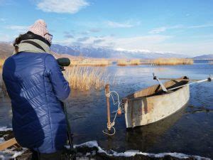 international waterfowl census iwc